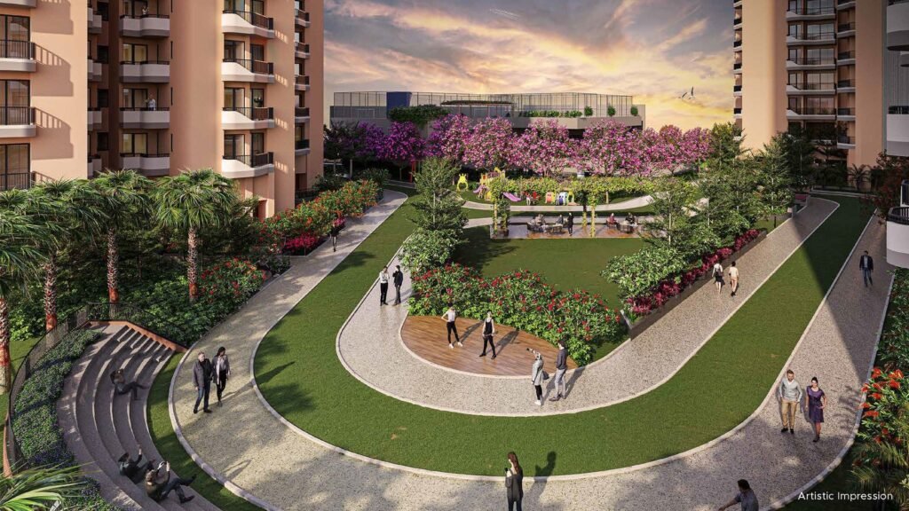 RG Pleiaddes Elevation